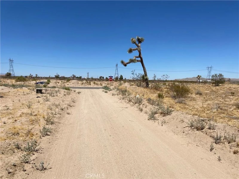 0 Koala