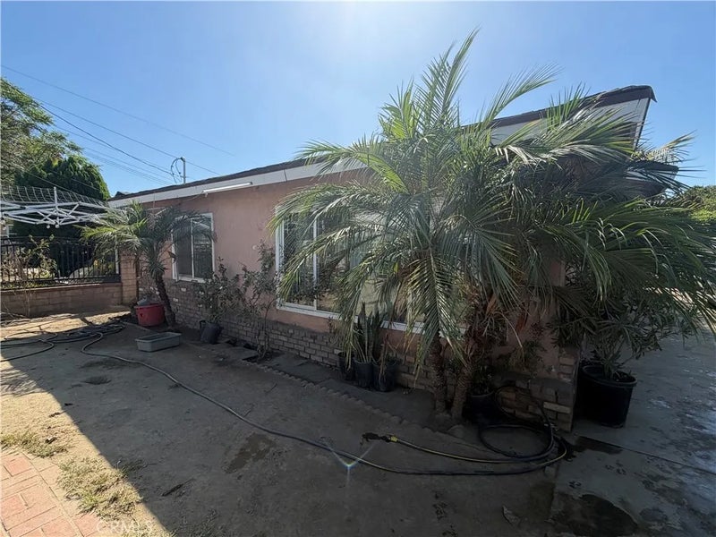 12366 Magnolia