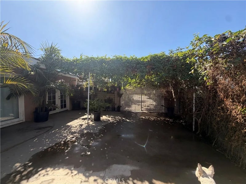 12366 Magnolia