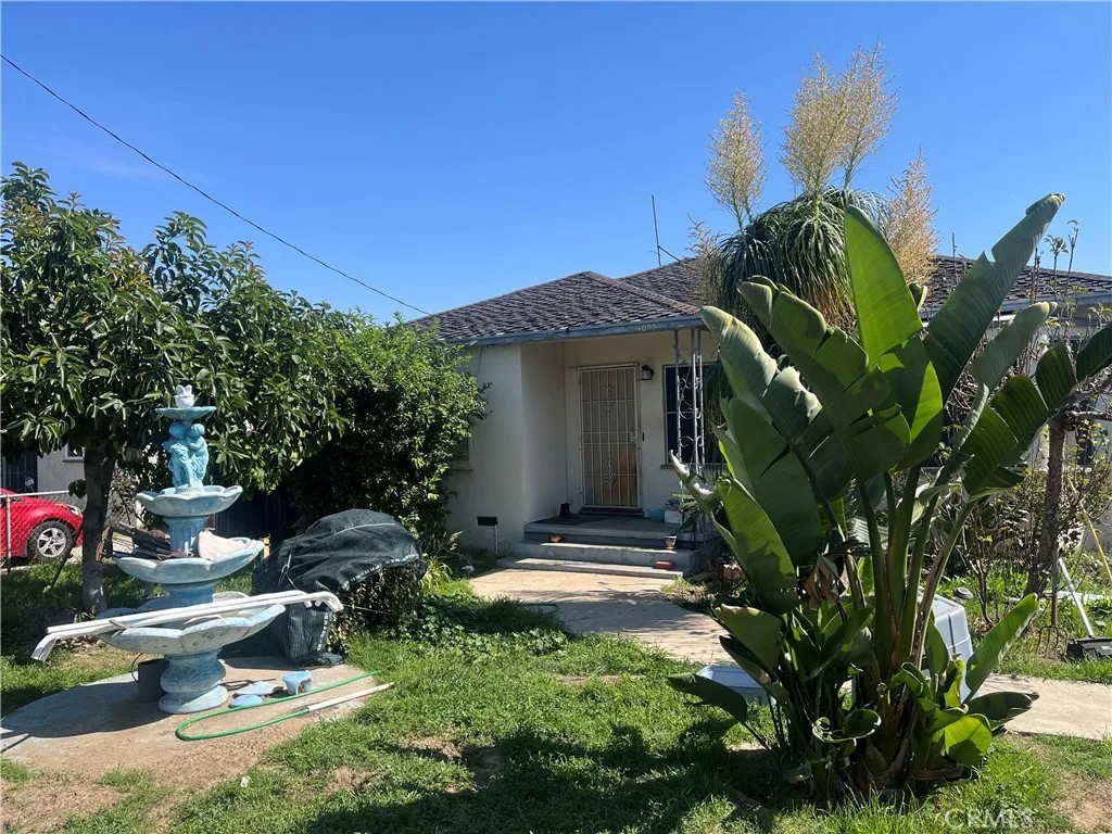 10655 Mountain View