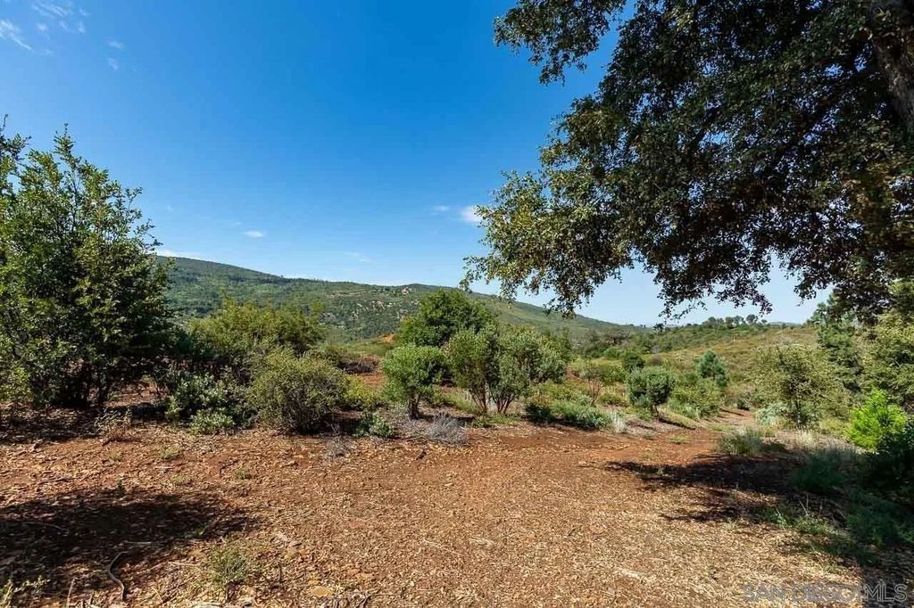 Photo of 000 Toyon Mountain Ln, Julian, CA 92036 (MLS # 250045356)