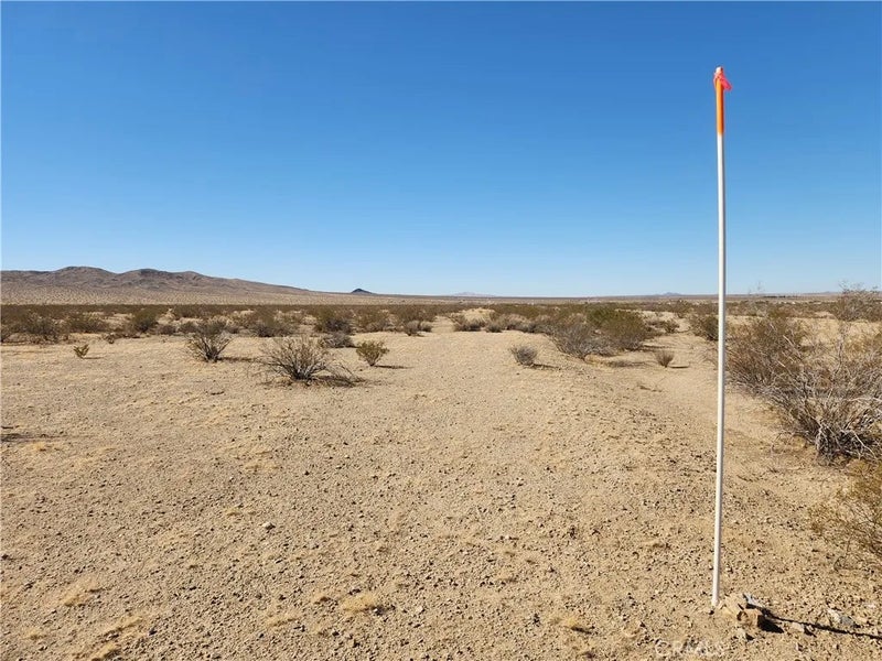 3334 Panamint