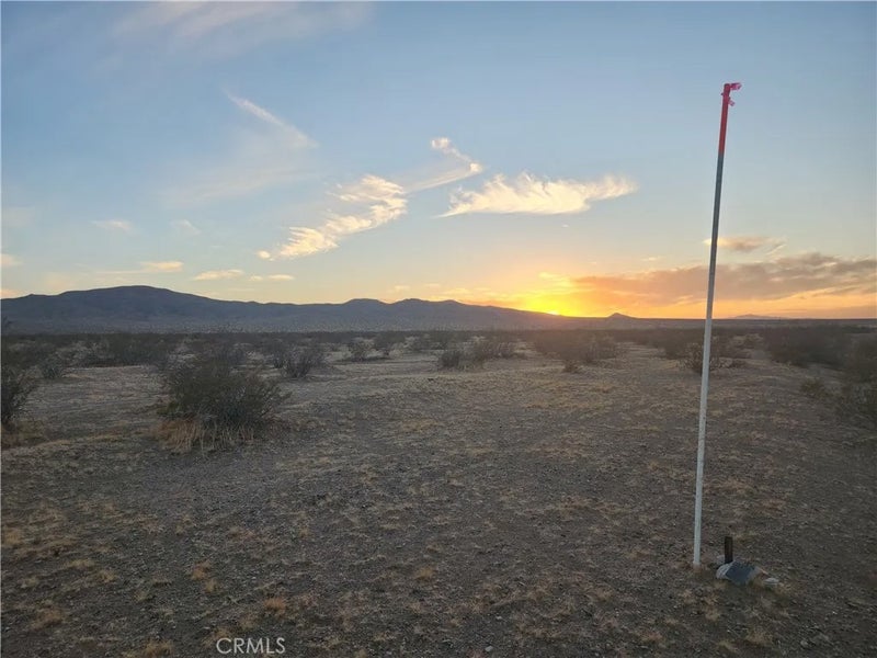 3334 Panamint