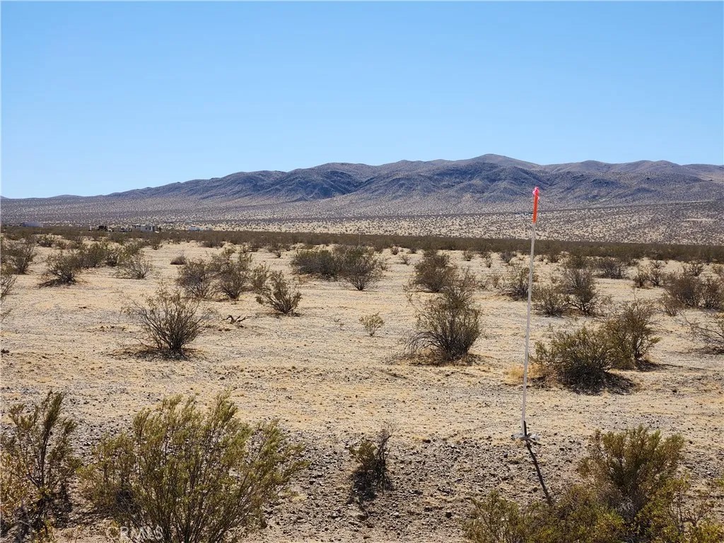 3334 Panamint