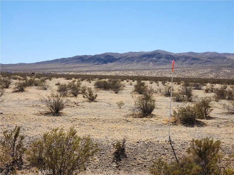 3334 Panamint