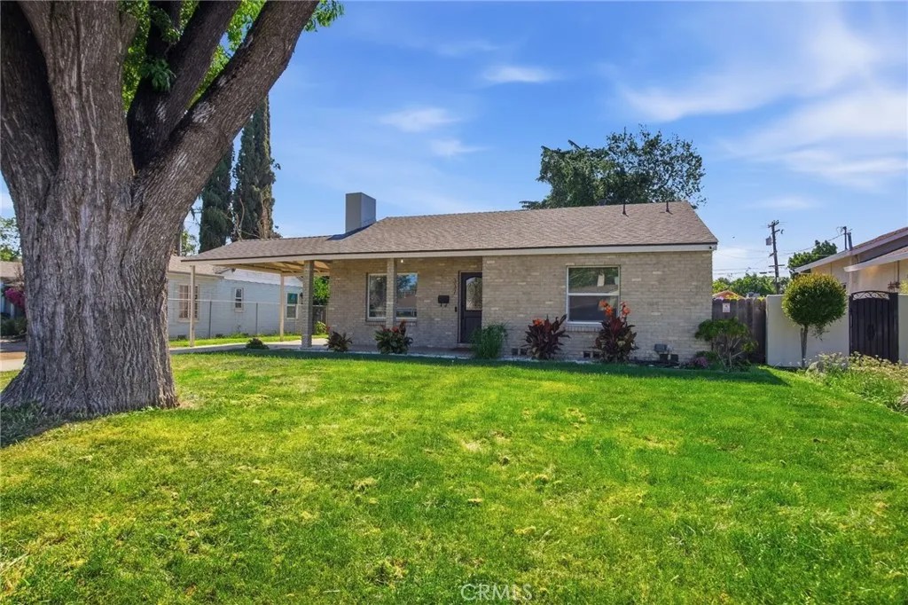 337 Camellia