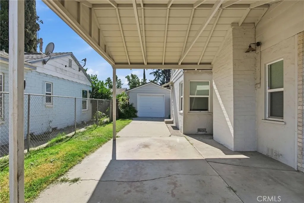 337 Camellia