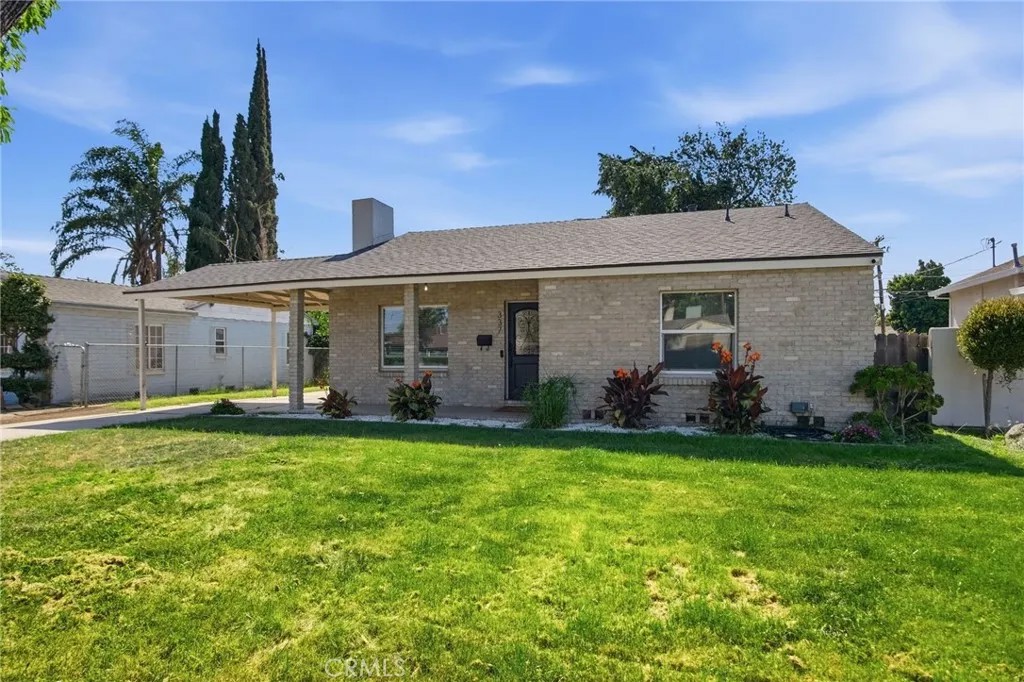 337 Camellia