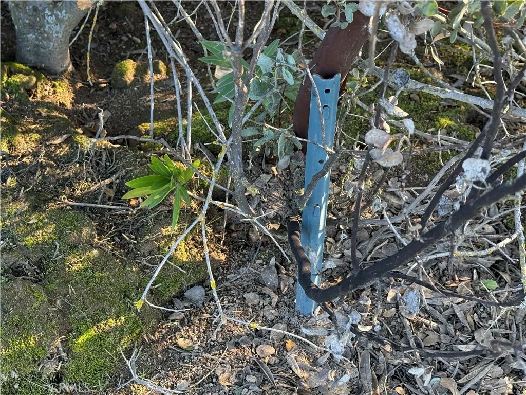 0 Long Hollow lot 1631