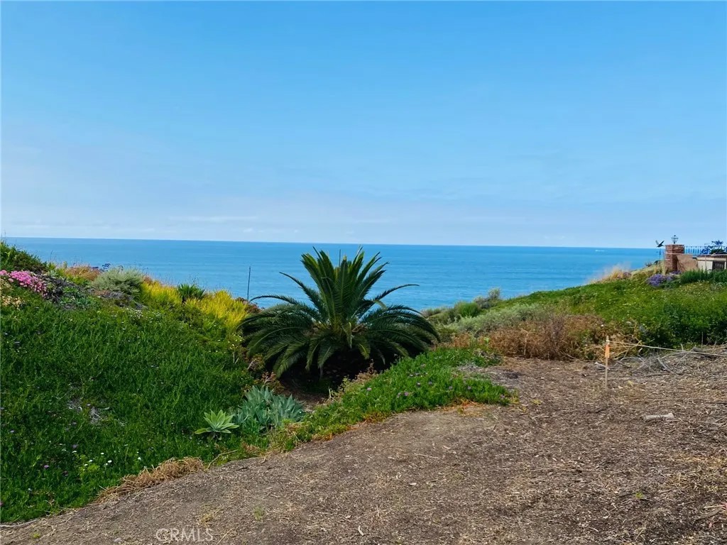 35295 Camino Capistrano