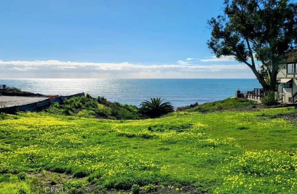 35295 Camino Capistrano