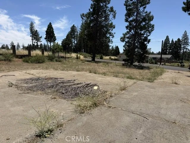 14249 Sherwood