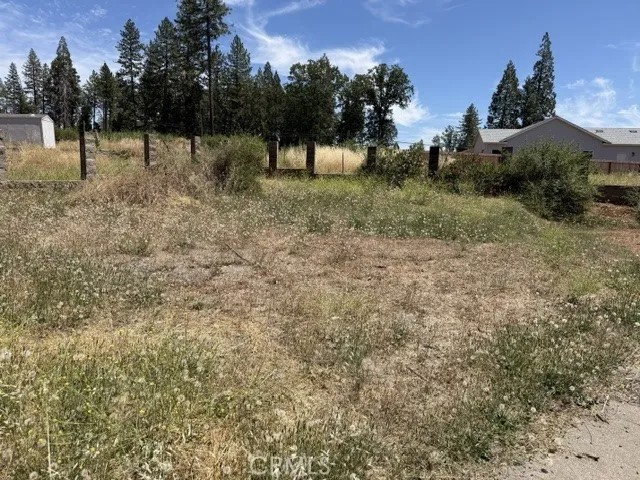 14249 Sherwood