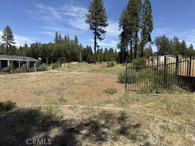 14249 Sherwood