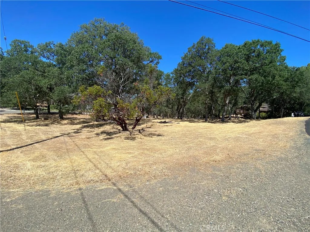 17902 Moon Hill