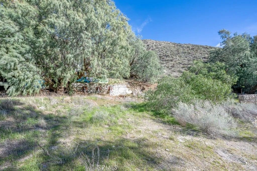 Photo of 12571 Capra Rd, Agua Dulce, CA 91390 (MLS # SR25278769)