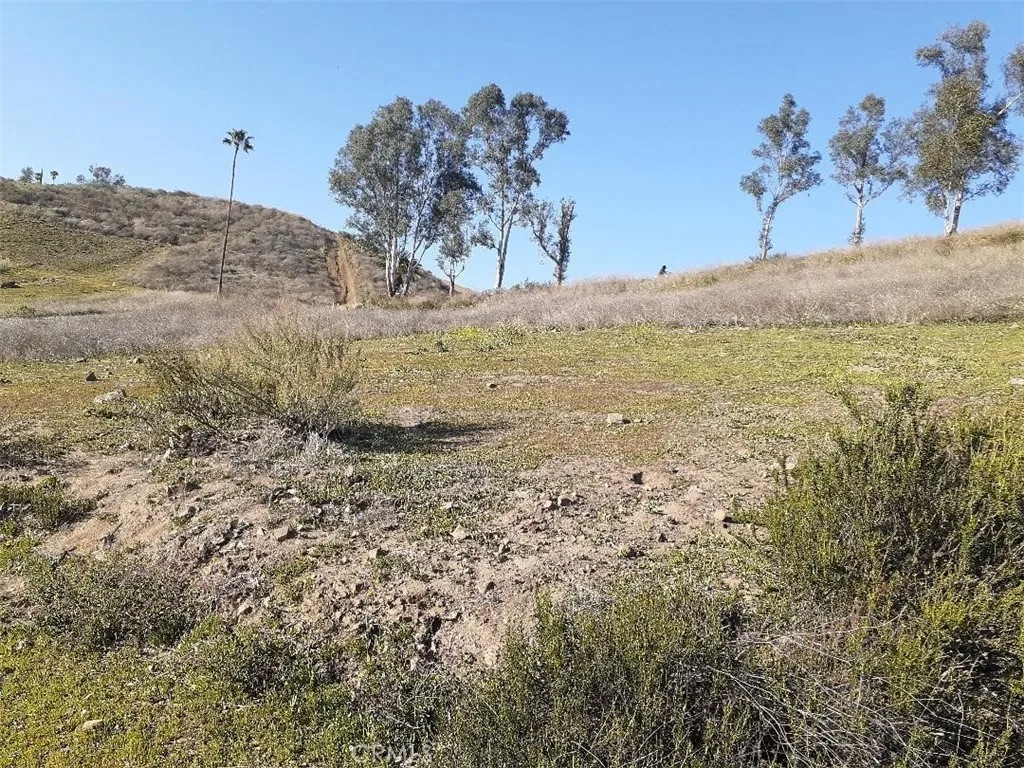 0 Lake View