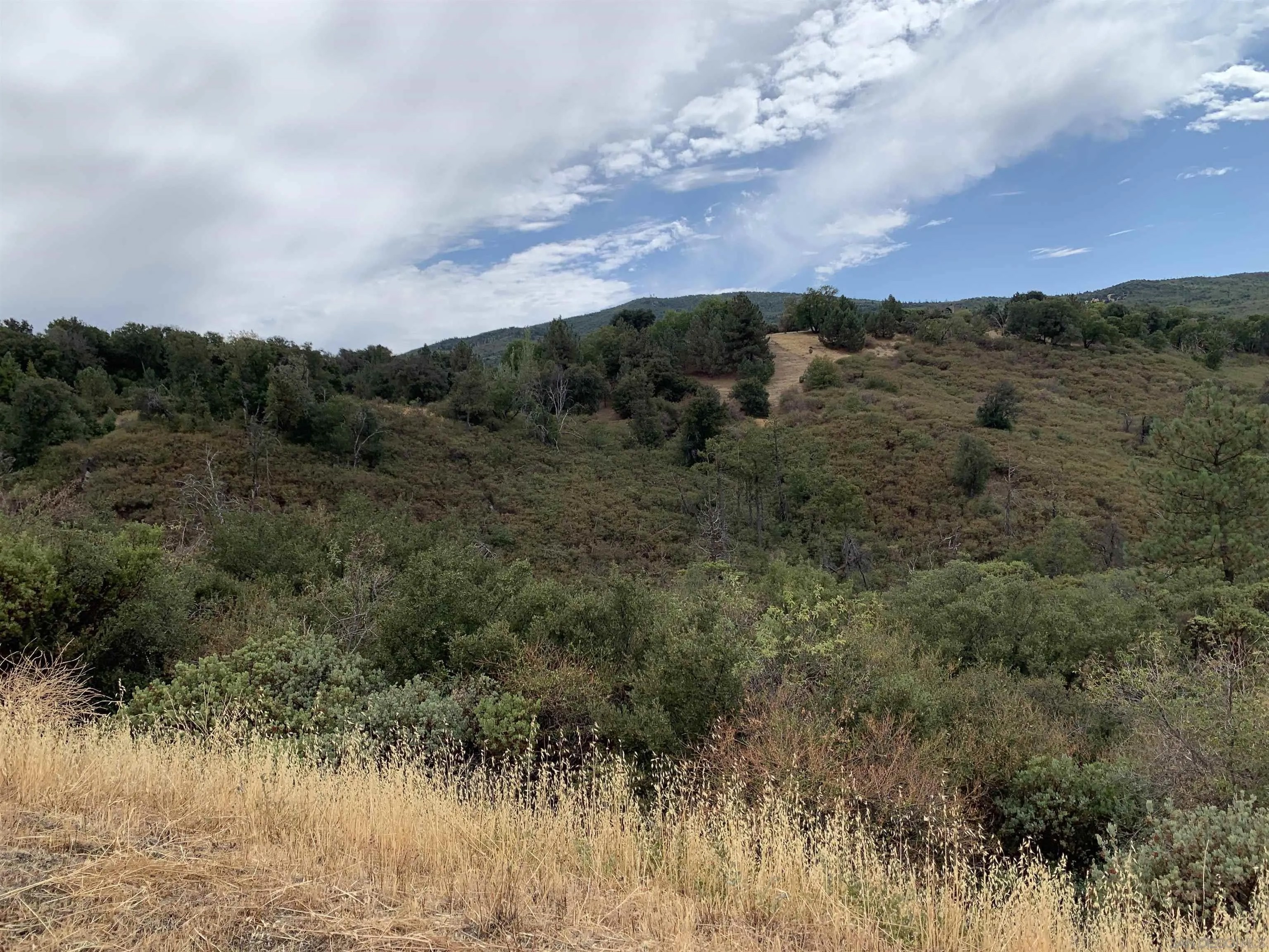 0 Incense Cedar Rd 40