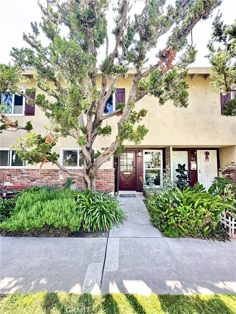 1919 Sherry Lane 46