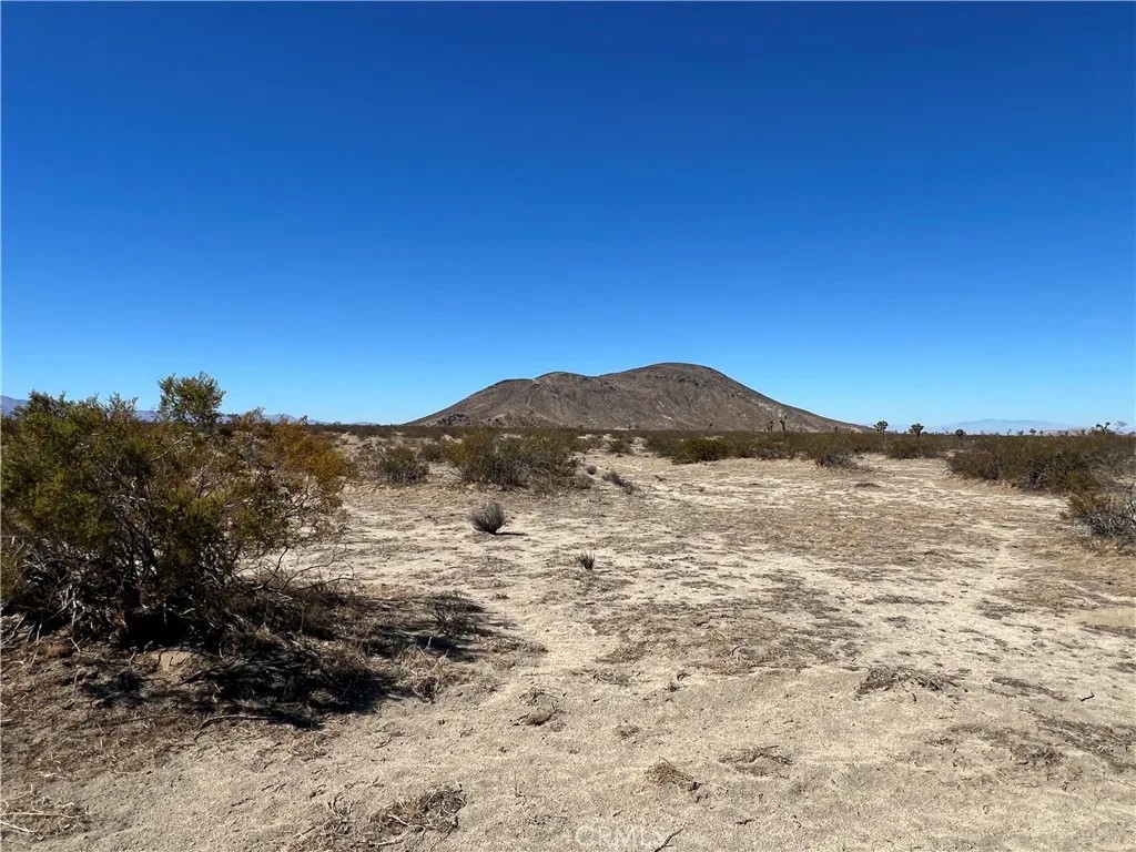 0 BLACK BUTTE