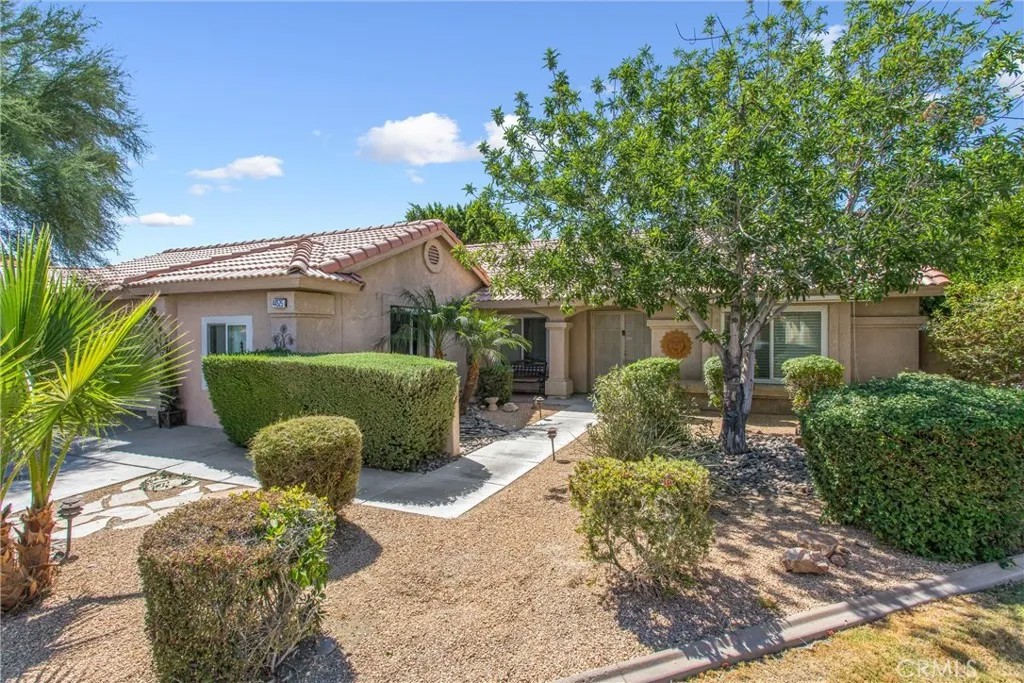 44525 Saffron Court