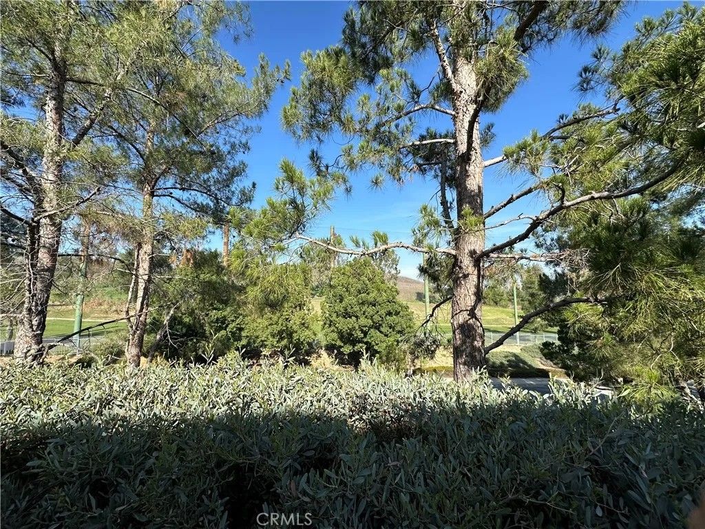 Photo of 4868 Petersen St, Chino Hills, CA 91709 (MLS # TR25277803)