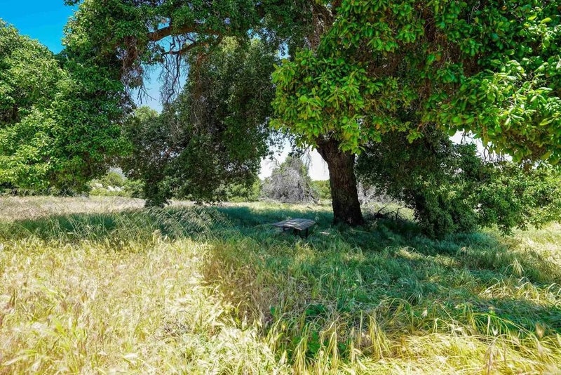 160 acres Canebrake