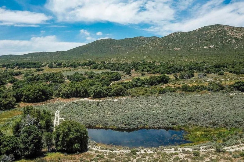 160 acres Canebrake