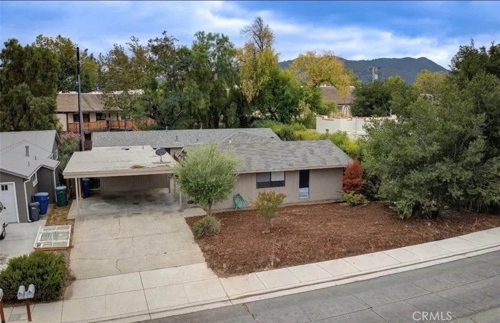 1544 Oak