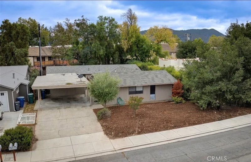 1544 Oak