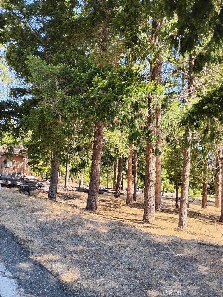3556 Meadow Wood