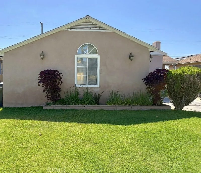 11703 Wilkie