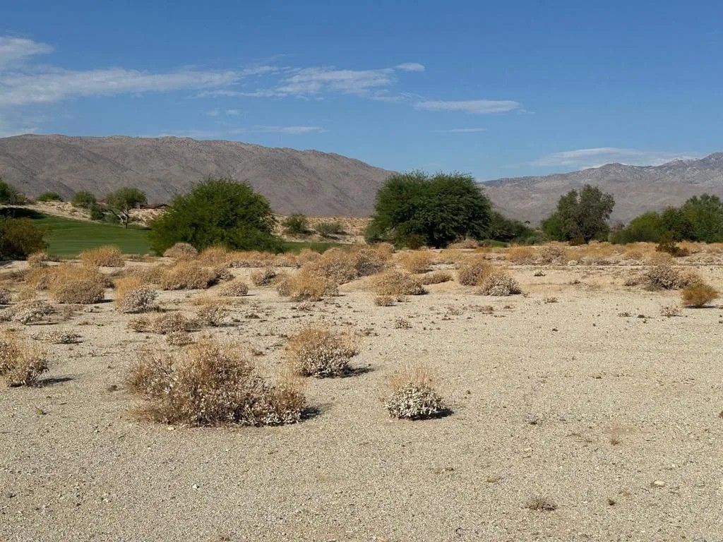 Photo of 0 Roadrunner, Borrego Springs, CA 92004 (MLS # NDP2408926)