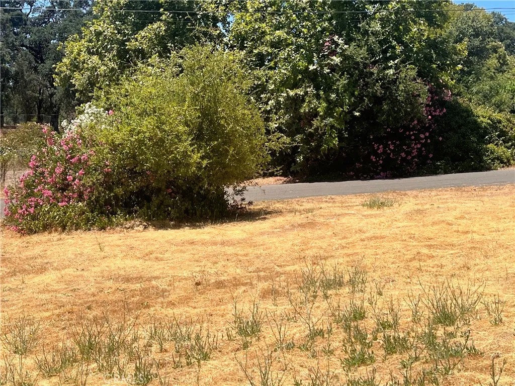 2534 Beach