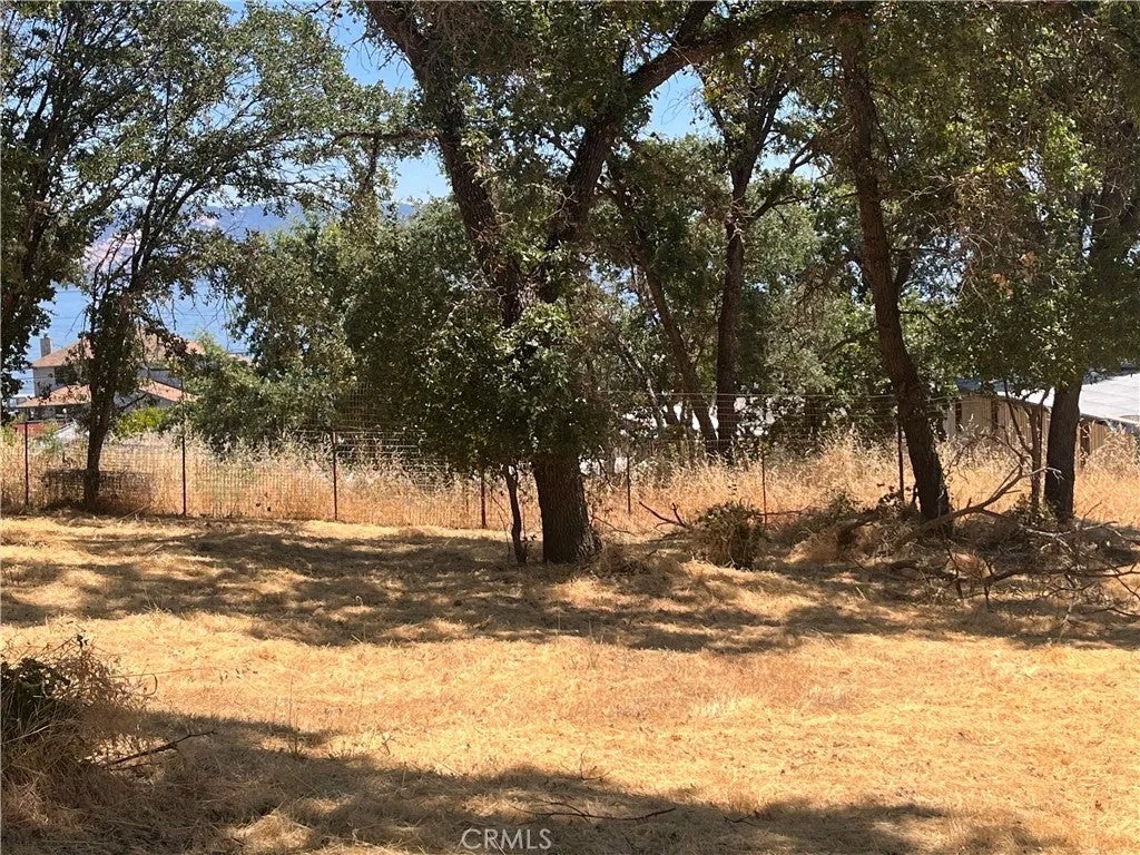 2534 Beach