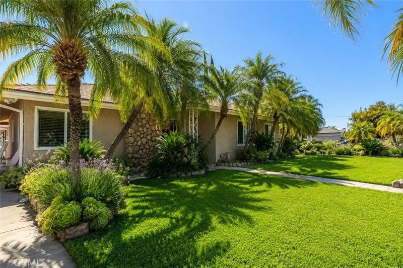 3439 Acacia