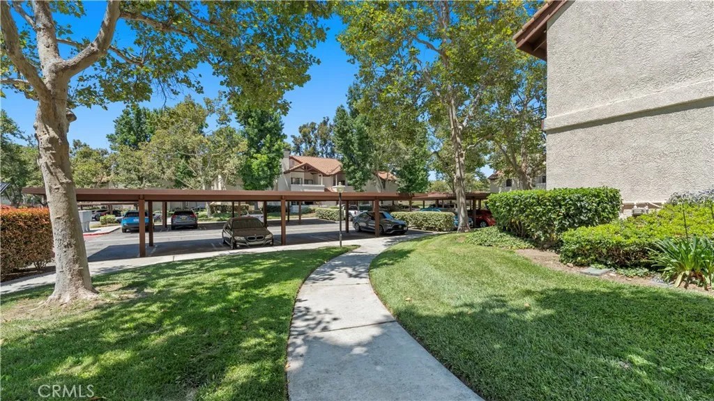 8309 Vineyard 5