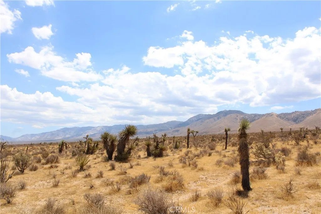 0 Canyon View