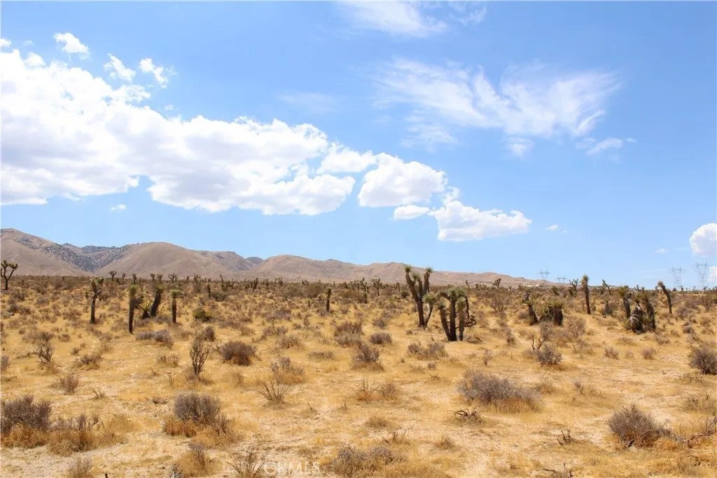0 Canyon View