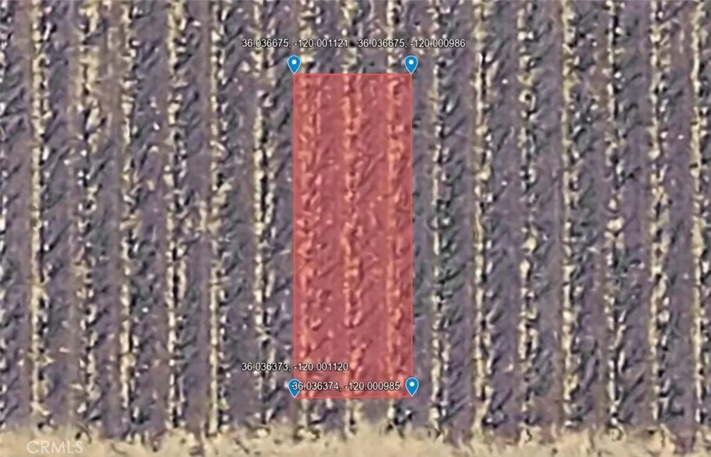 0 Quail