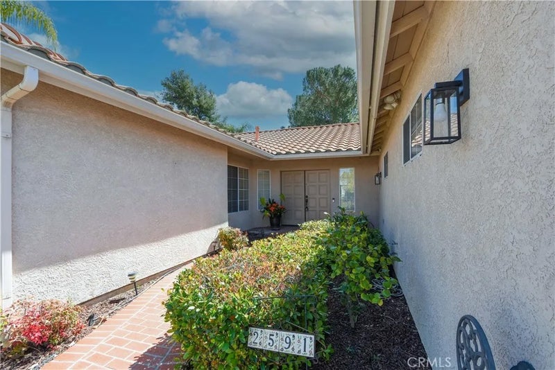 2591 Peach Tree