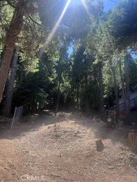 760 Woodland