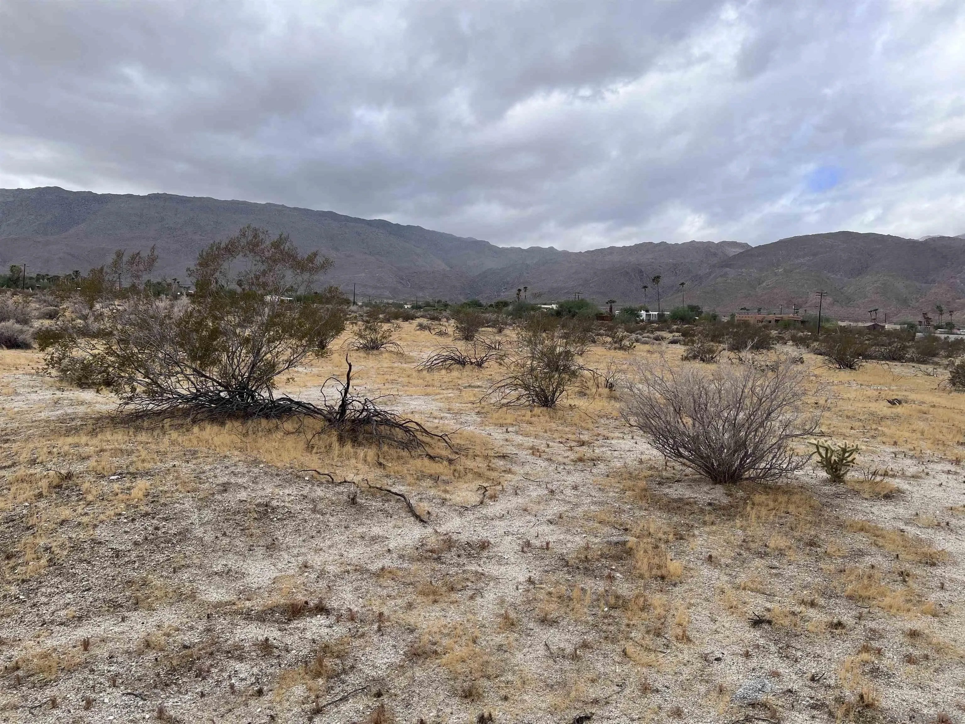Lot 213 Borrego Springs Rd 213