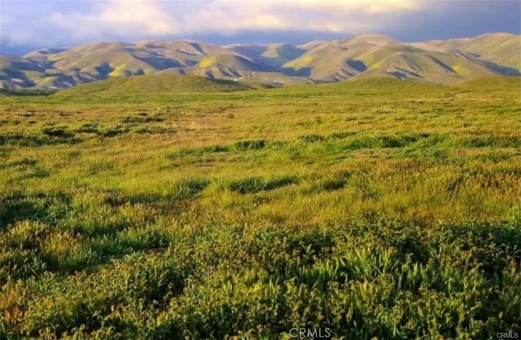 Photo of 0 Arrowhead, California Valley, CA 93453 (MLS # PW26072803)