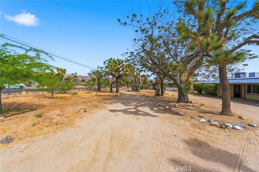 7425 Joshua View