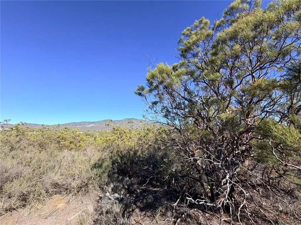 Photo of 0 Glenda, Anza, CA 92539 (MLS # WS25258003)
