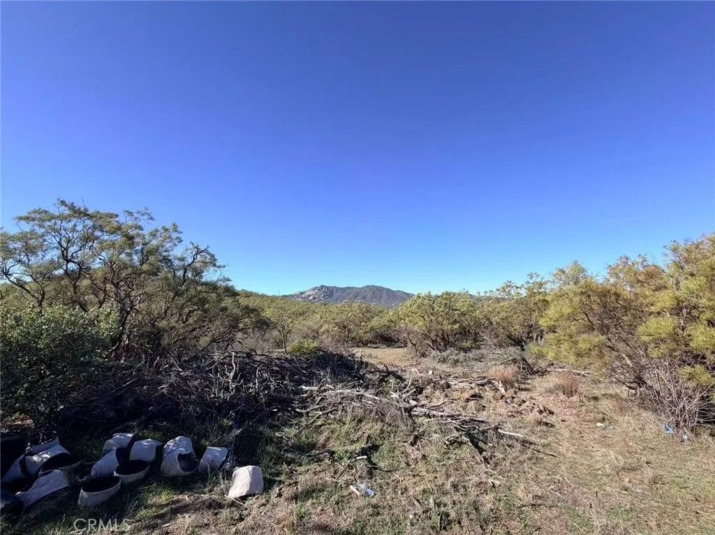 Photo of 0 Glenda, Anza, CA 92539 (MLS # WS25258003)