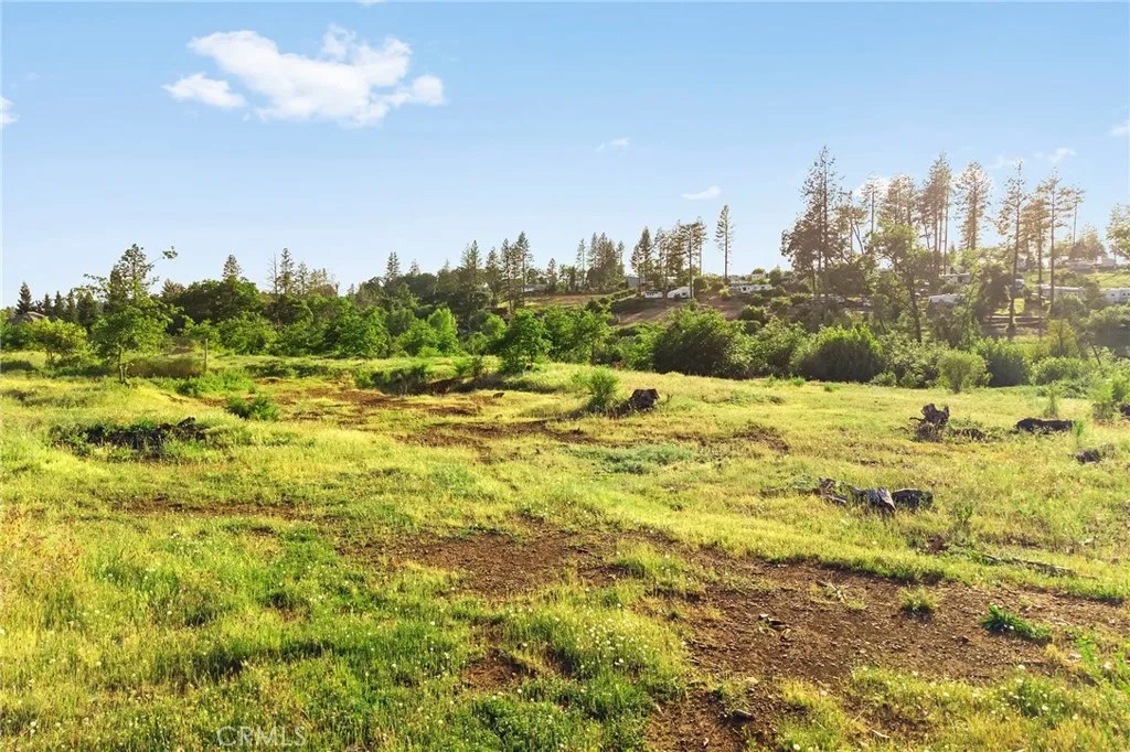 5078 Wilderness