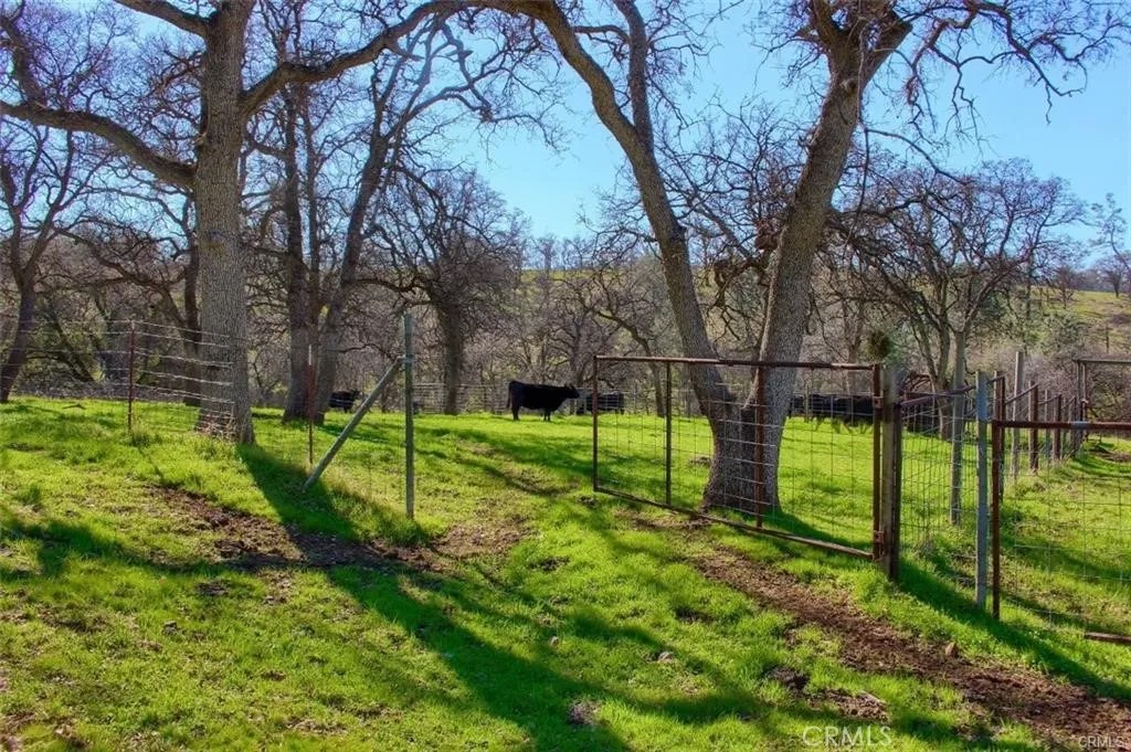160 AC Cotton Creek Rd