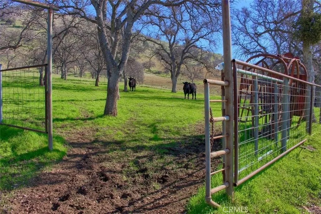 160 AC Cotton Creek Rd